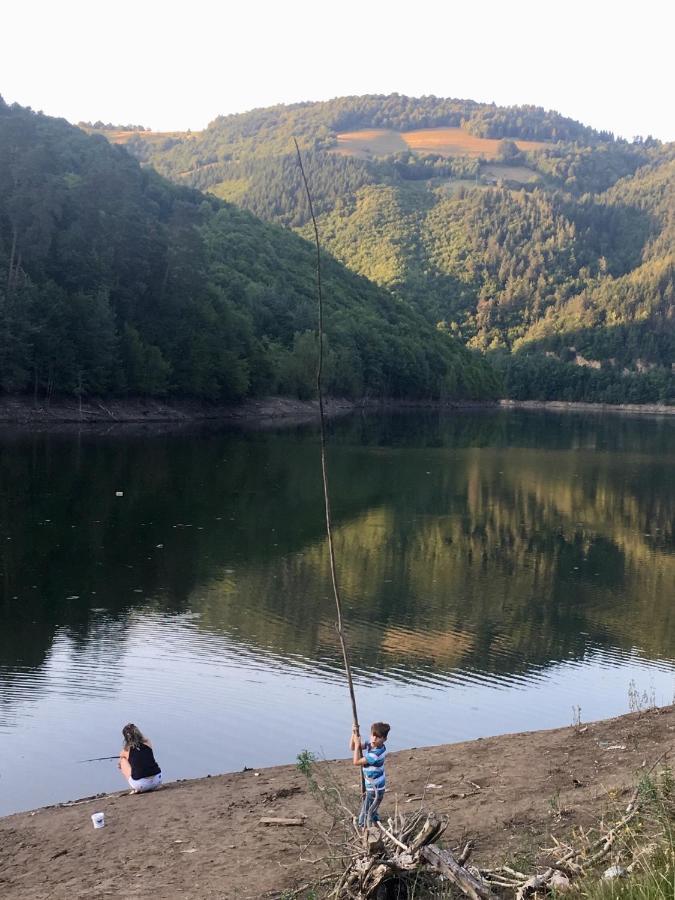 Cabana Baraj Apuseni Mountains Mihoesti Eksteriør billede