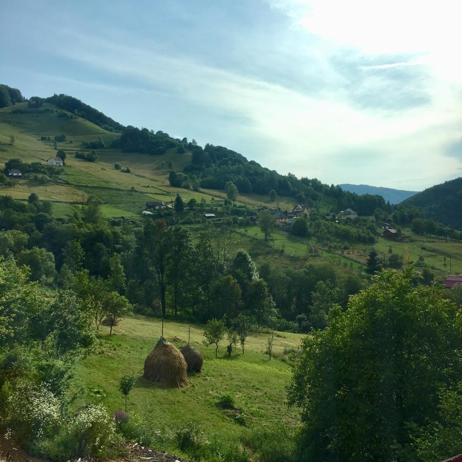 Cabana Baraj Apuseni Mountains Mihoesti Eksteriør billede