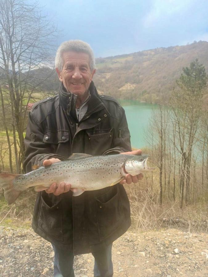 Cabana Baraj Apuseni Mountains Mihoesti Eksteriør billede