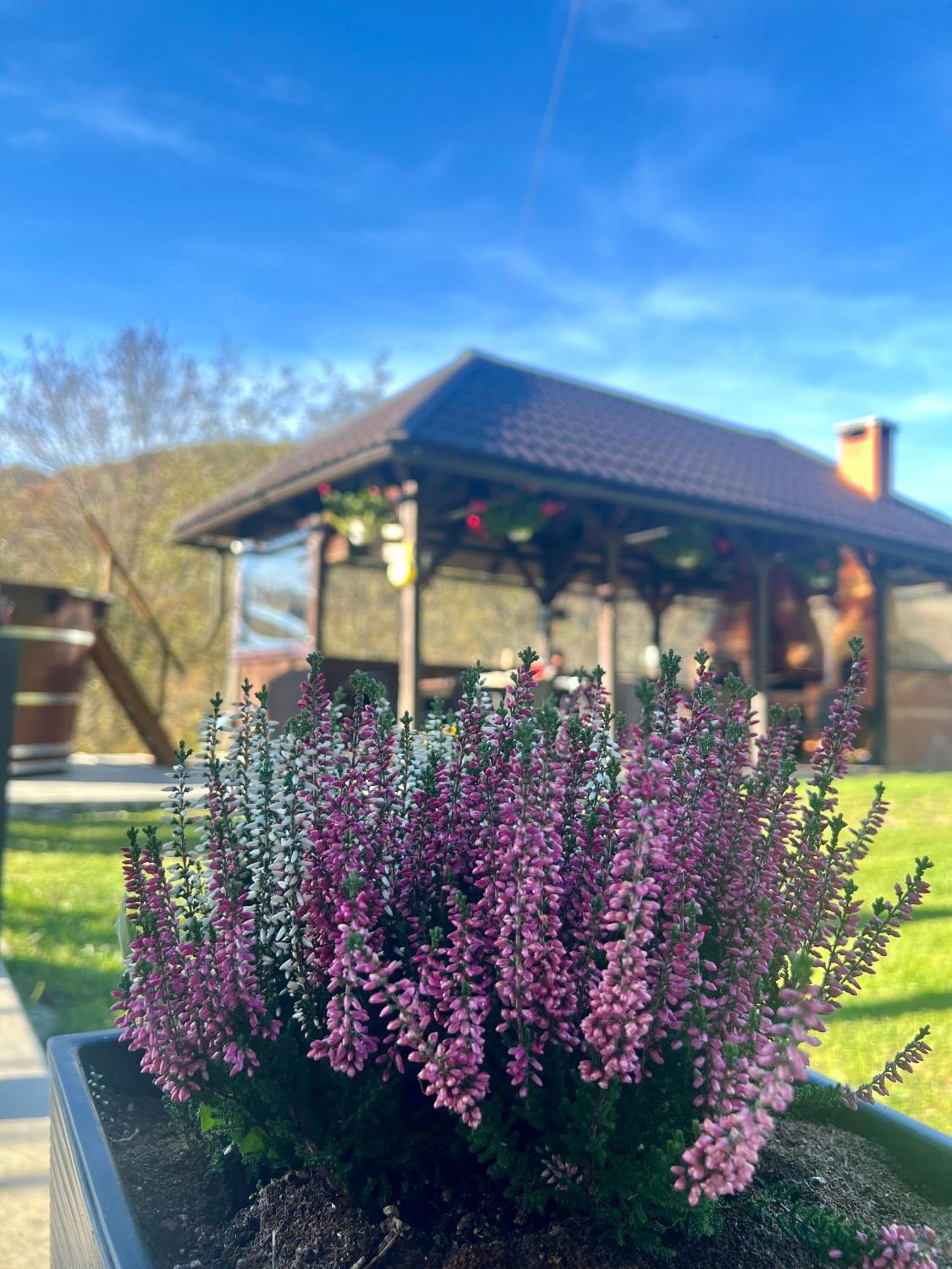 Cabana Baraj Apuseni Mountains Mihoesti Eksteriør billede