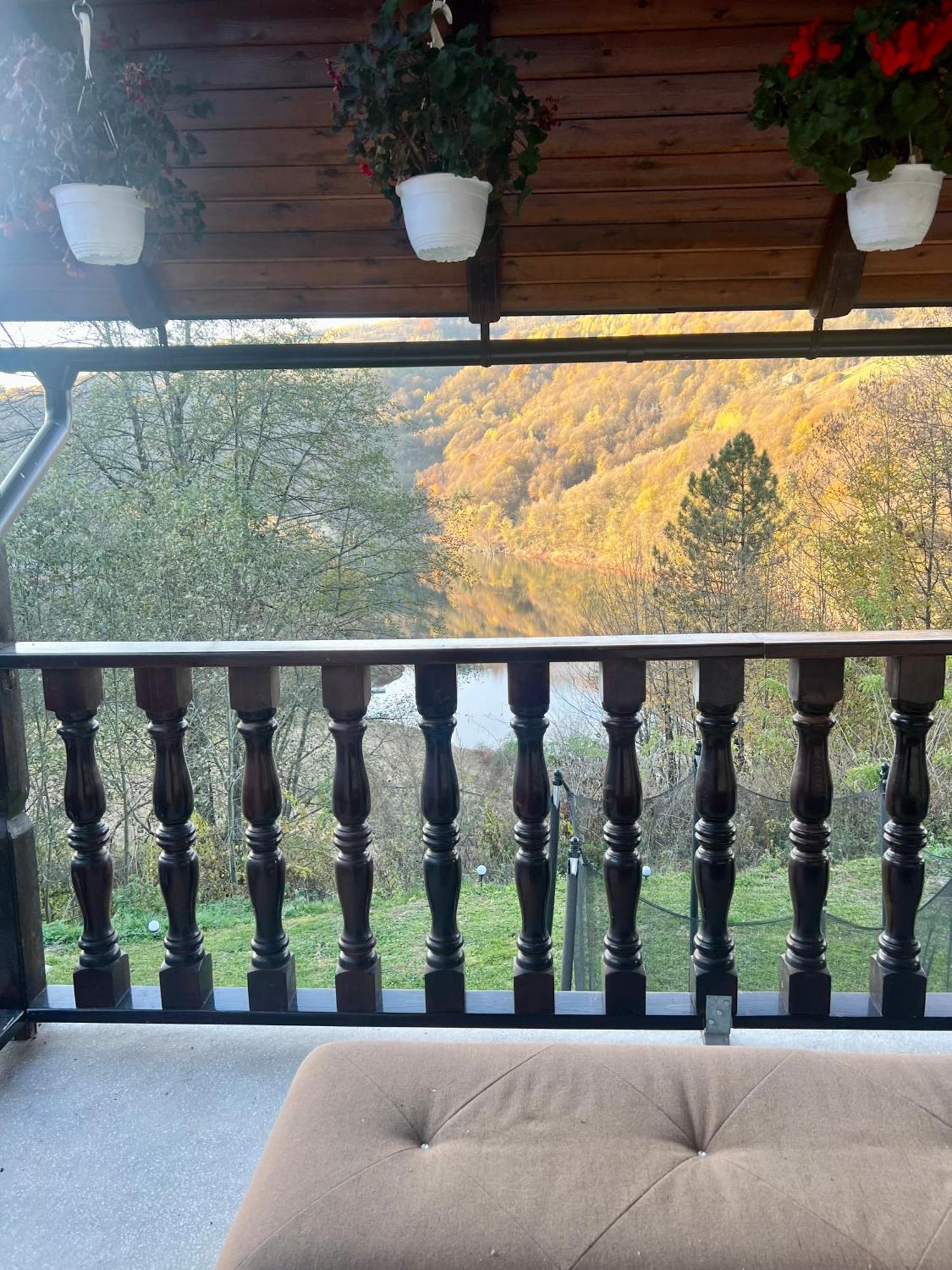 Cabana Baraj Apuseni Mountains Mihoesti Eksteriør billede