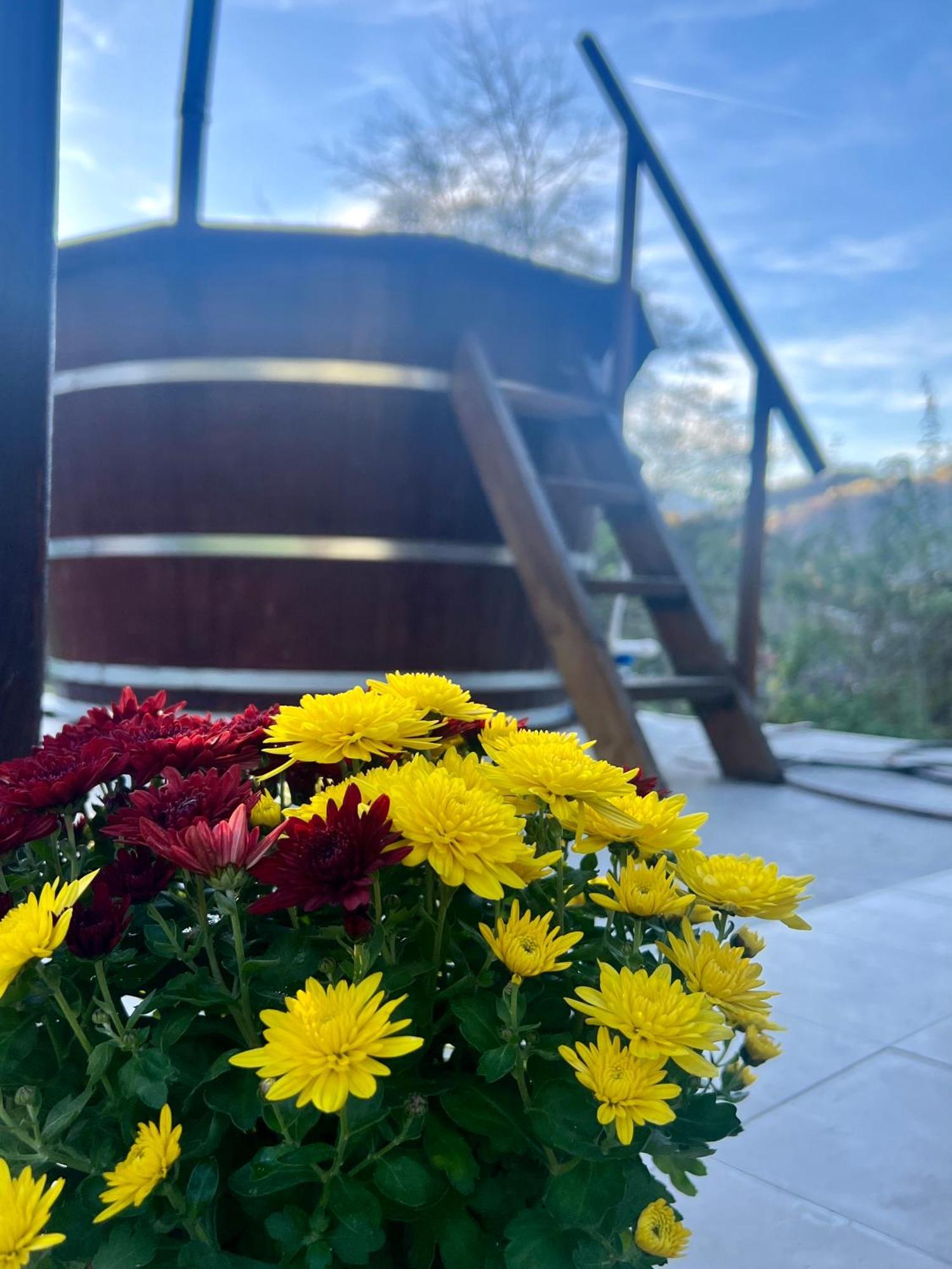 Cabana Baraj Apuseni Mountains Mihoesti Eksteriør billede